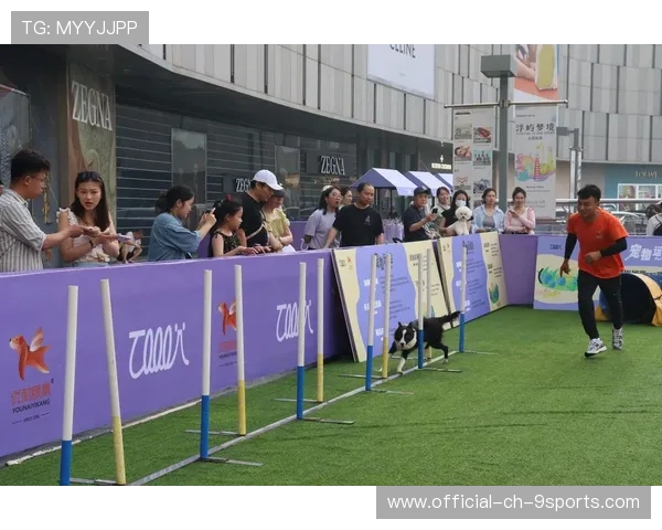 联赛推出青少年宠物运动会 提升亲子互动体验,宠物运动会项目有哪些
